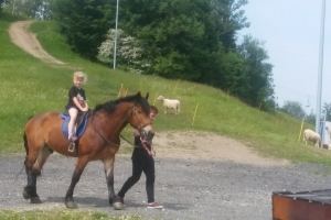 04.06.2017 Cieńków  -  Wiktoria